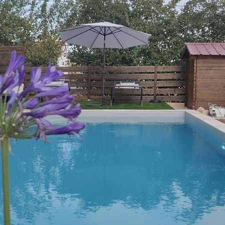مبيت وإفطار Cadalen Domaine De La Vigne المظهر الخارجي الصورة