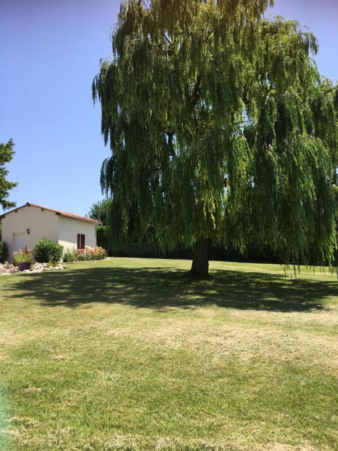 مبيت وإفطار Cadalen Domaine De La Vigne المظهر الخارجي الصورة