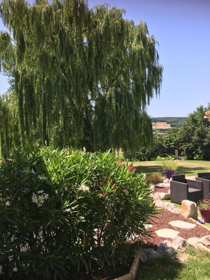 مبيت وإفطار Cadalen Domaine De La Vigne المظهر الخارجي الصورة