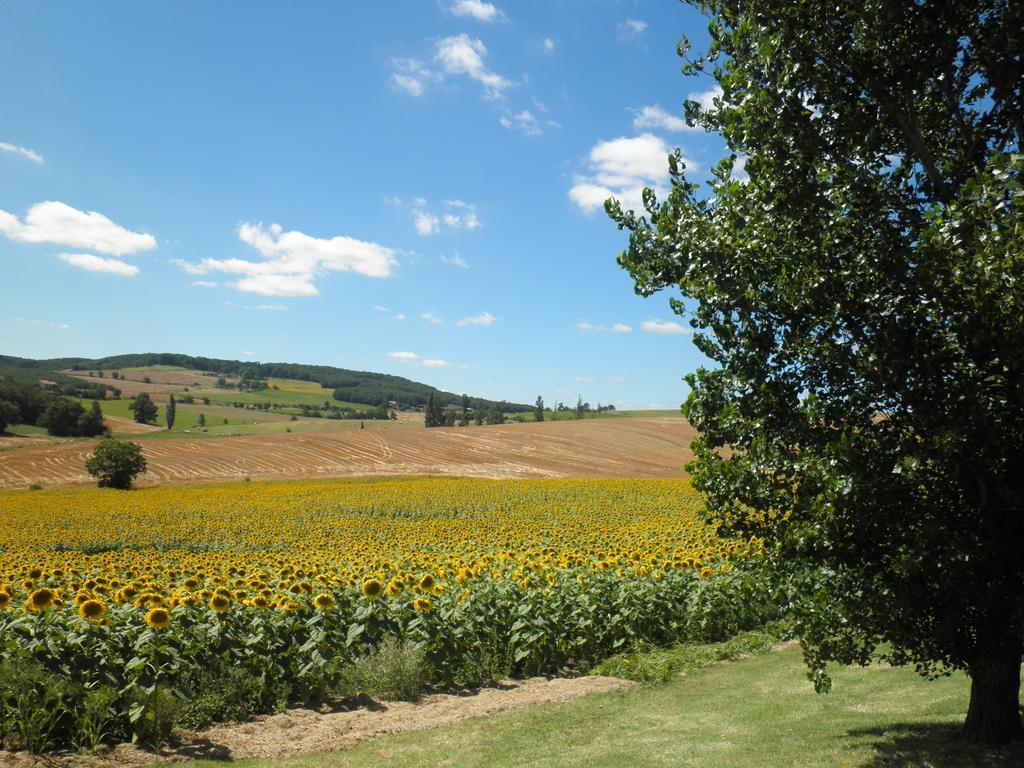 مبيت وإفطار Cadalen Domaine De La Vigne المظهر الخارجي الصورة