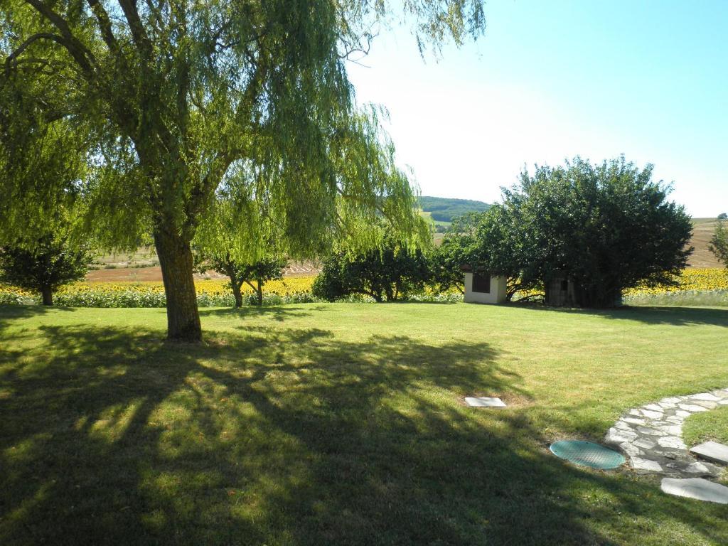 مبيت وإفطار Cadalen Domaine De La Vigne المظهر الخارجي الصورة